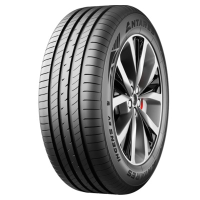Antares Ingens EV 205 50 R17 93V